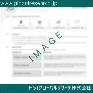 グローバルリサーチ調査資料のイメージ